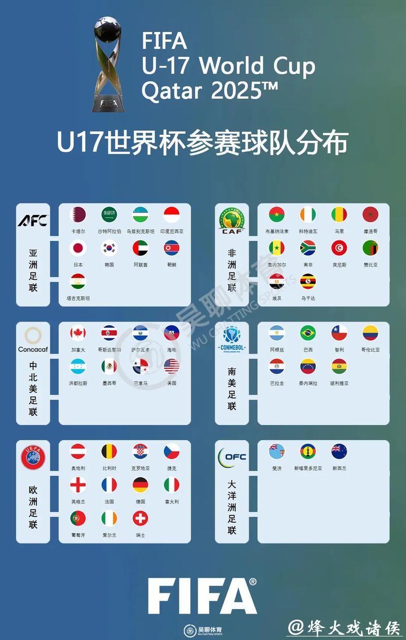 全面解析世界杯参赛球队的详细资料